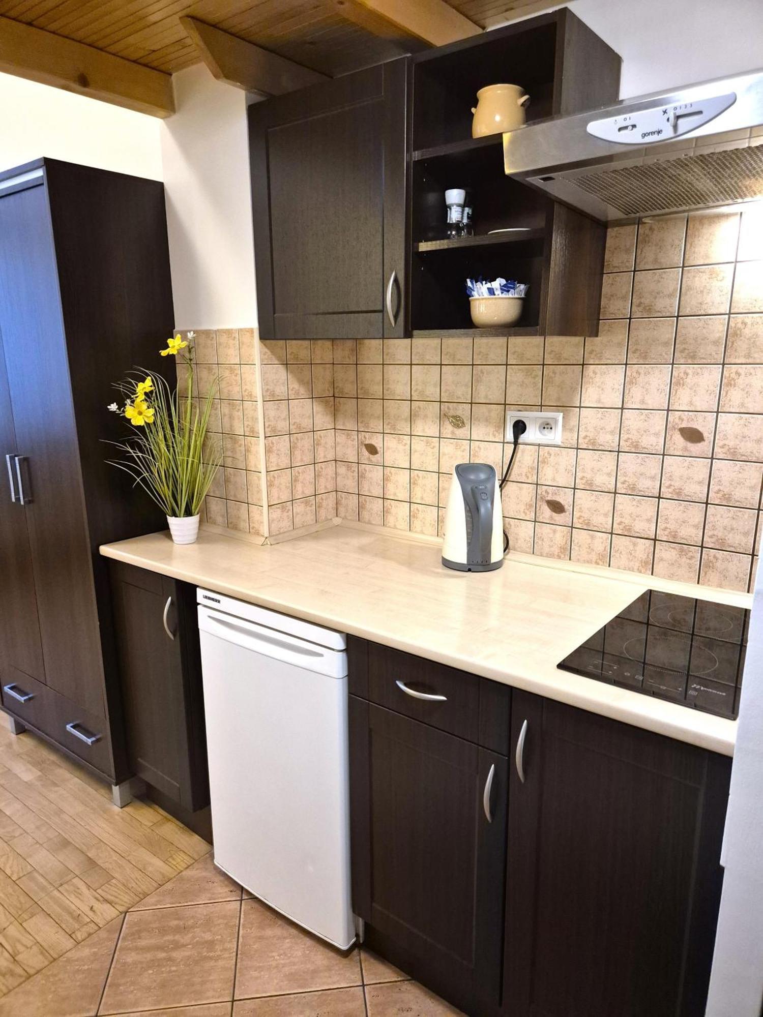 Safona - Pantheon Apartments Cracovia Esterno foto